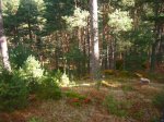 Foto6.JPG