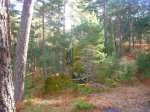 Foto7.JPG