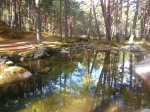 Foto9.JPG