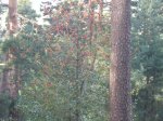 Foto22.JPG