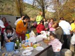 IMG_0528.jpg