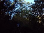 DSC00112 (Medium).JPG