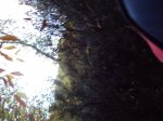 DSC00114 (Medium).JPG