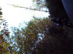 DSC00115 (Medium).JPG