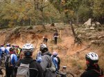 DSC02010.jpg