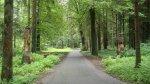 DSC01940.jpg