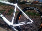 cannondale4.jpg