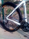 cannondale1.jpg