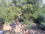 tinkers en la vall 4.jpg