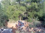 tinkers en la vall 5.jpg