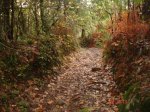 DSC02876.jpg