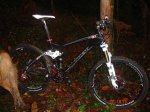 DSC02879.jpg
