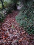 DSC02882.jpg