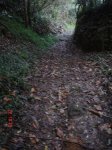 DSC02884.jpg