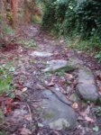 DSC02886.jpg