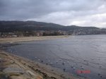 DSC02889.jpg