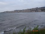 DSC02890.jpg