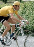 70s-merckxyellow.jpg