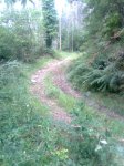 Imagen0029.jpg