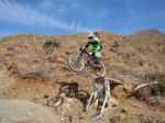 67- Devinci Negra.jpg