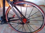 DSC00106.jpg