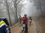 IMG_4778.jpg