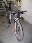 100_4007 (Medium).JPG