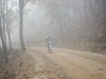 IMG_4790.jpg