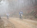 IMG_4791.jpg