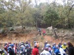 IMG_4817.jpg