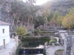 GENAL 2009 002.jpg