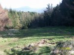 100_3756.jpg