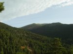 PIC_0021.jpg