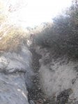 SDC11444.jpg