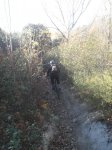SDC11450.jpg