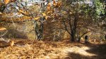 img3954n.jpg