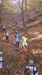 img3962k.jpg