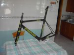 PICT0599.jpg