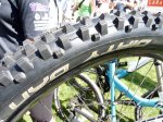 soc09-schwalbe_06.jpg