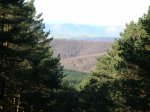 Image_003.JPG