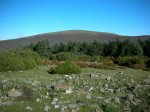 Image_004.JPG