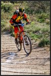 IMG_6603 copia.jpg