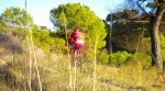 DSCN0579.jpg