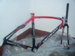 ROUBAIX 002.jpg
