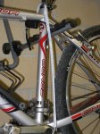 bici1.jpg