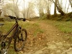 DSC00400.JPG
