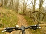 DSC00402.JPG