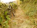 DSC00404.JPG