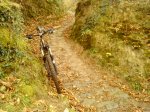 DSC00405.JPG