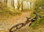 DSC00406.JPG